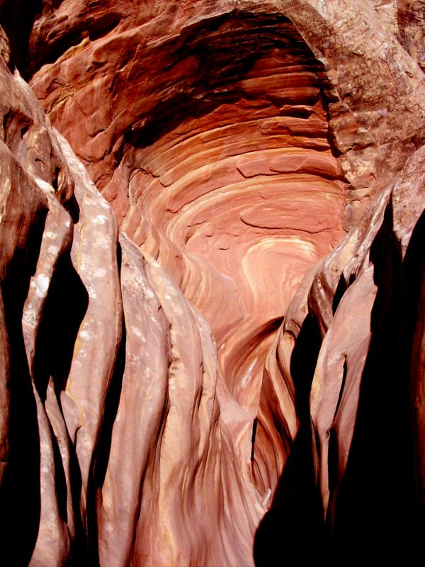 04160302LittleWildHorse (1102)